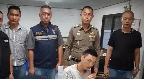 成县吃瓜网红事件始末是什么,一场网络舆论的风暴与反思